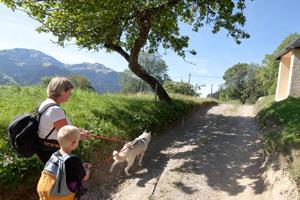 DDD Cani-rando