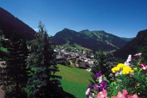 Chatel Tourisme 2FleursSapinsVuarand