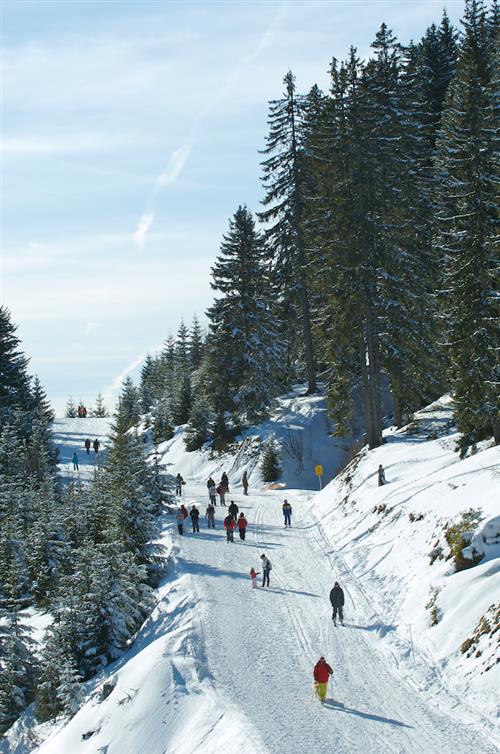 ph. JM.Baud-OTLesGets