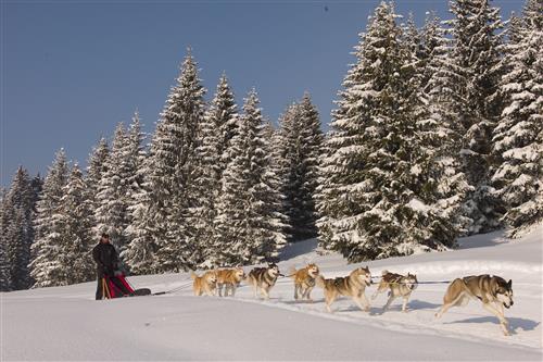 ph. L.Gloanec/OT lesGets