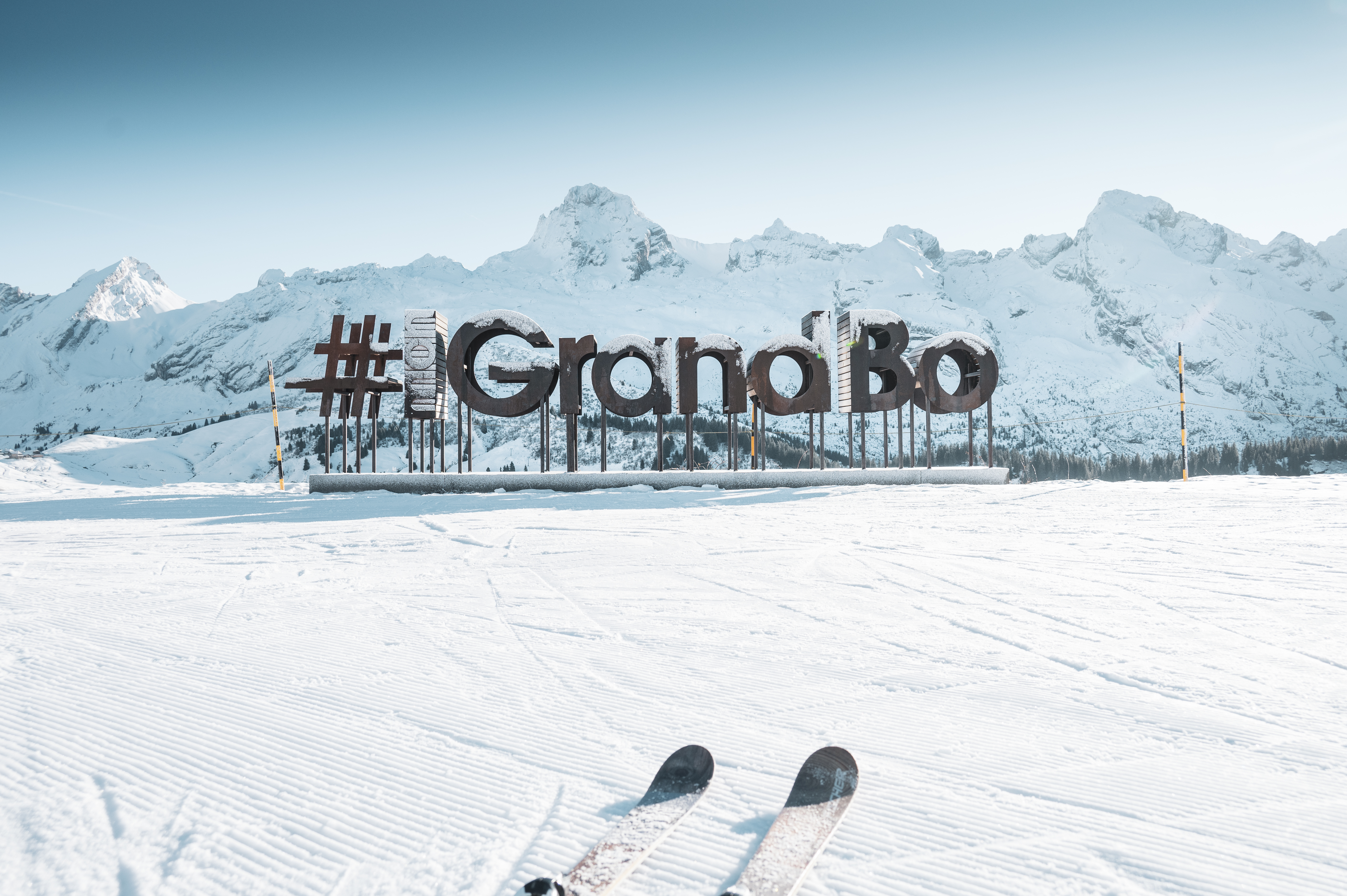 #mongrandbo