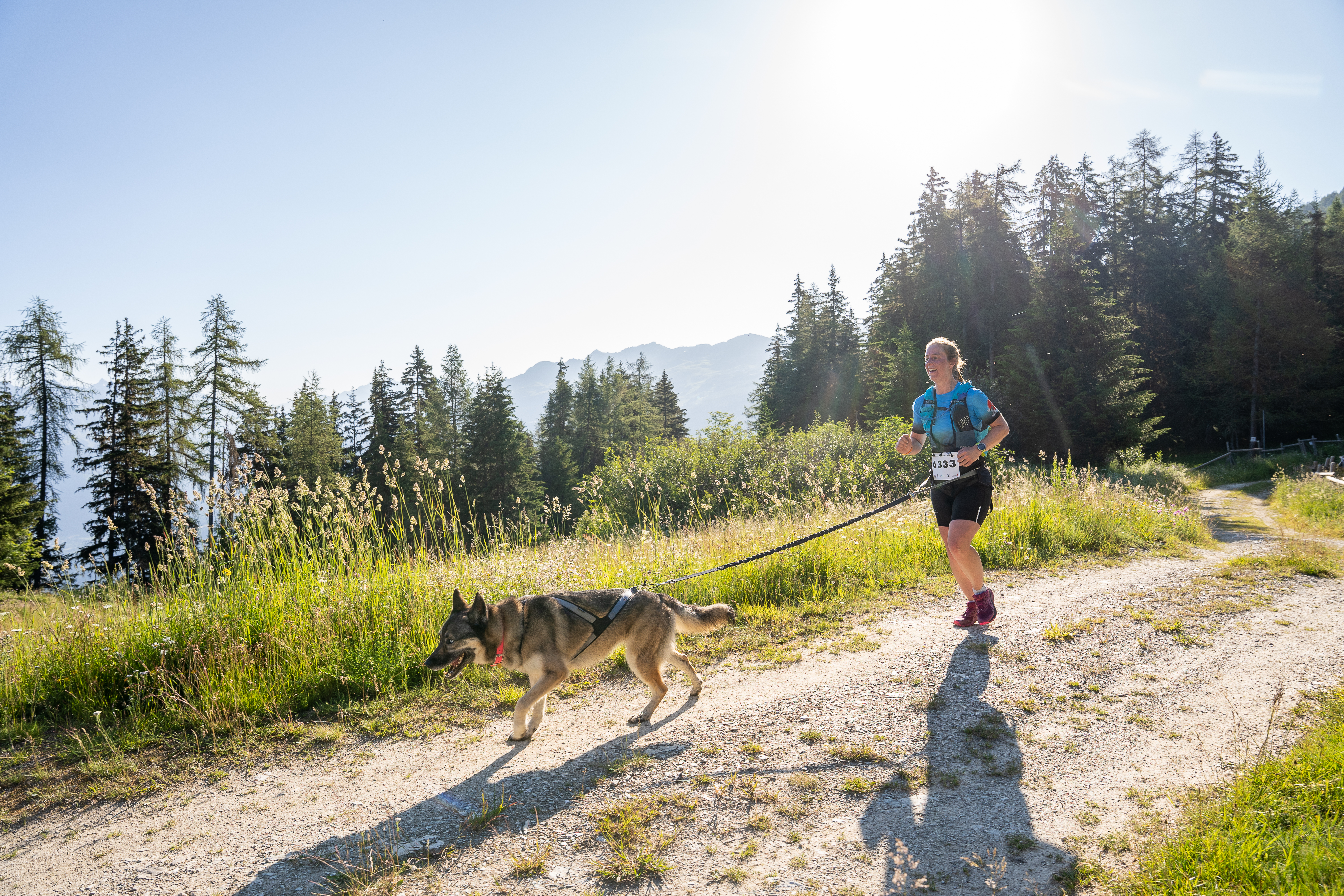 Cani trail