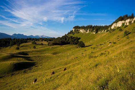 Alpage et ferme