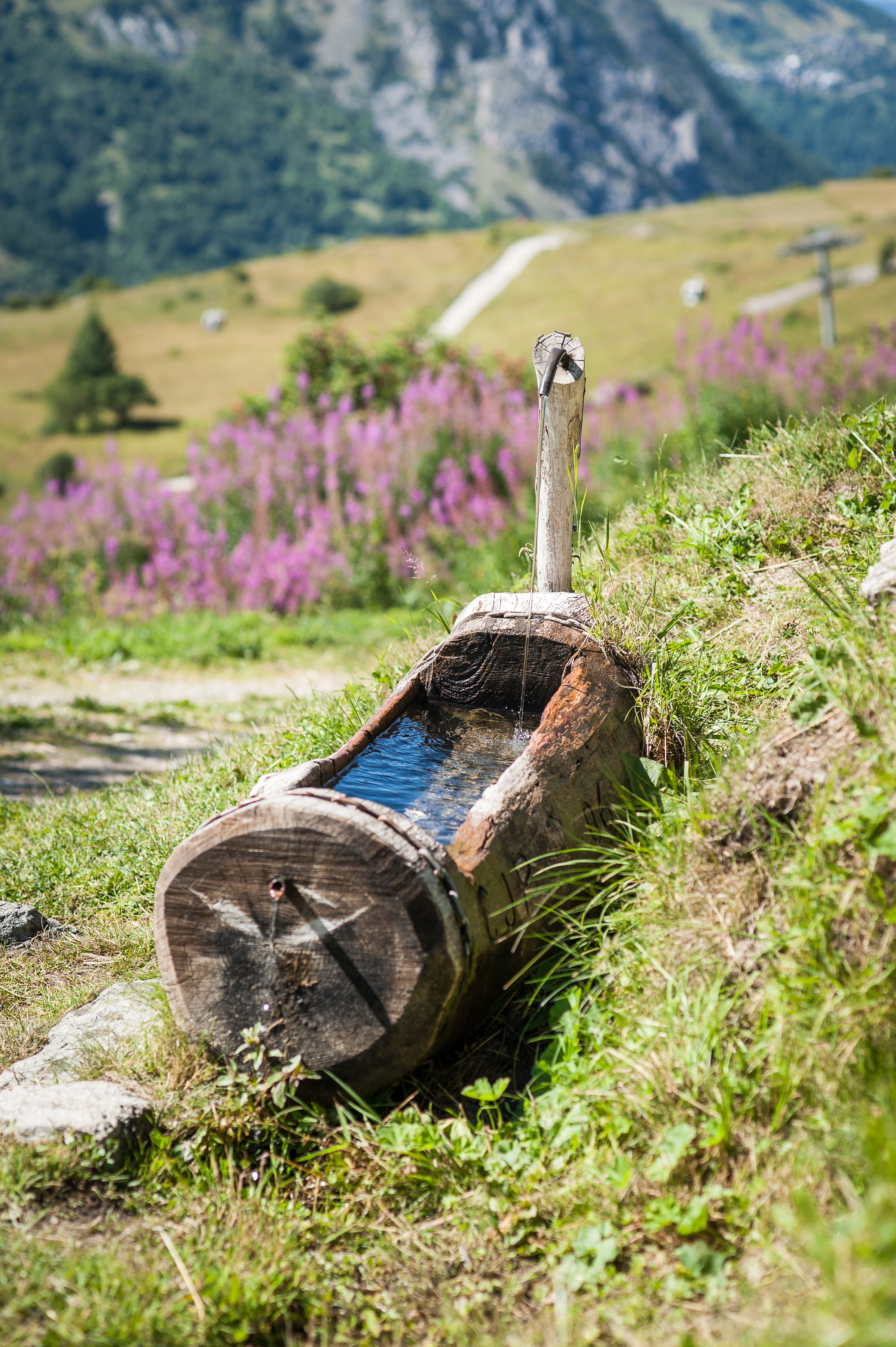 Fontaine à l'alpage de Geneuil Valloire