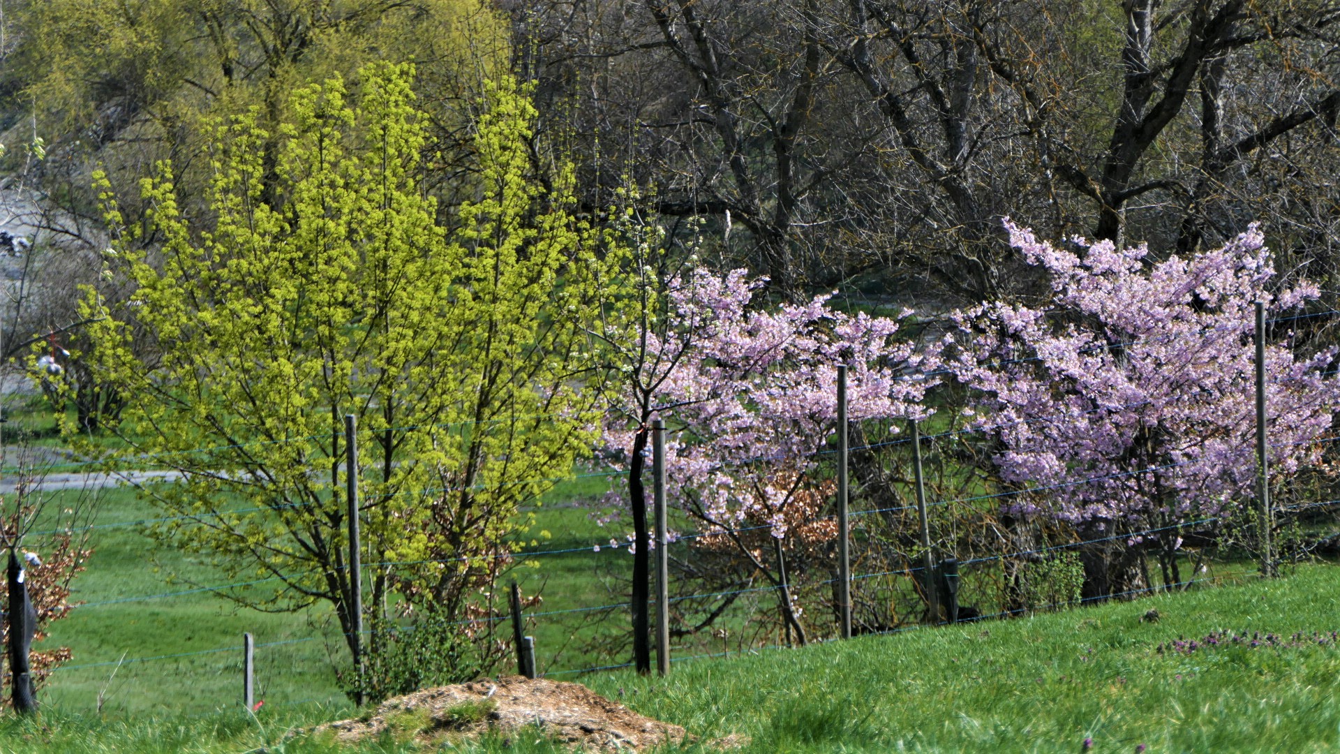 la balastière