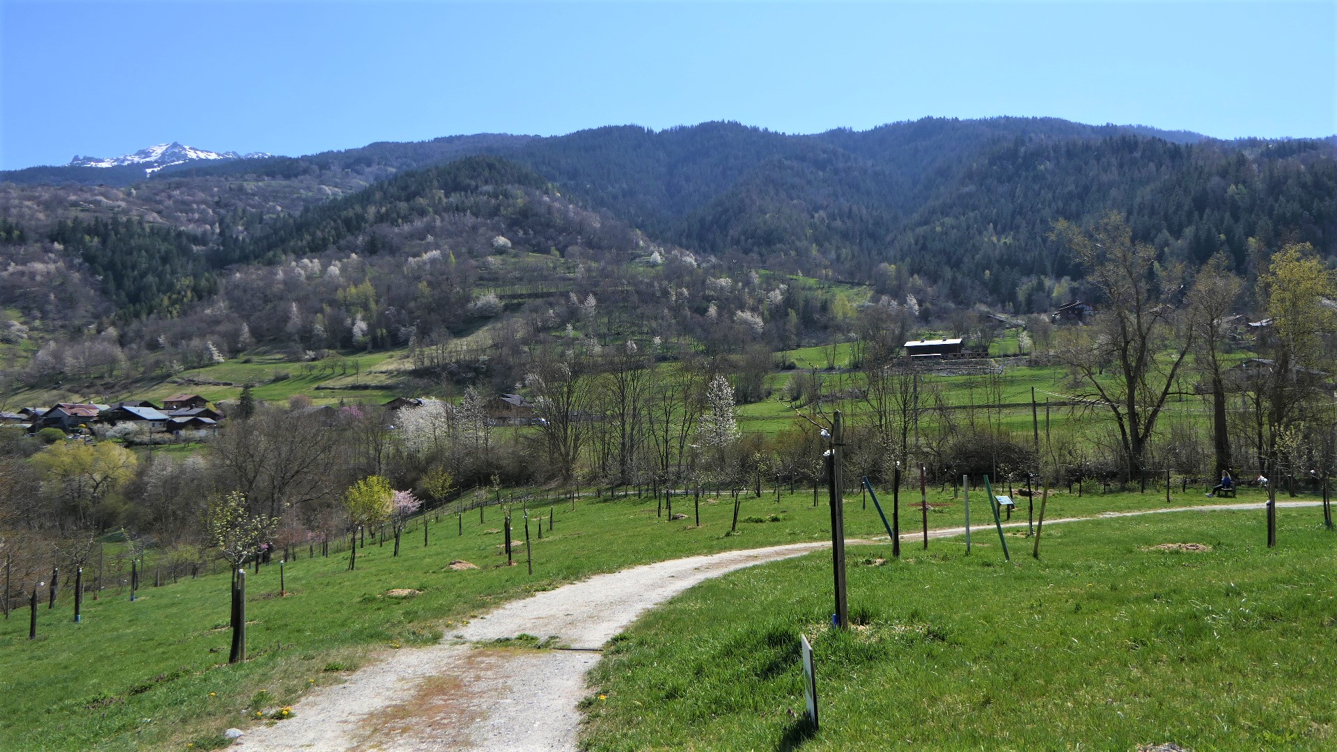 verger de la Balastière