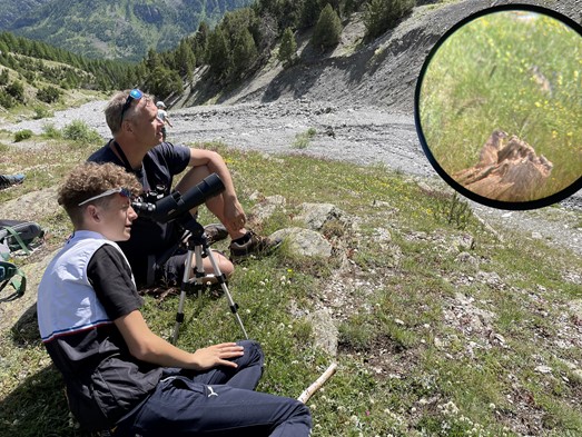 Découverte des marmottes