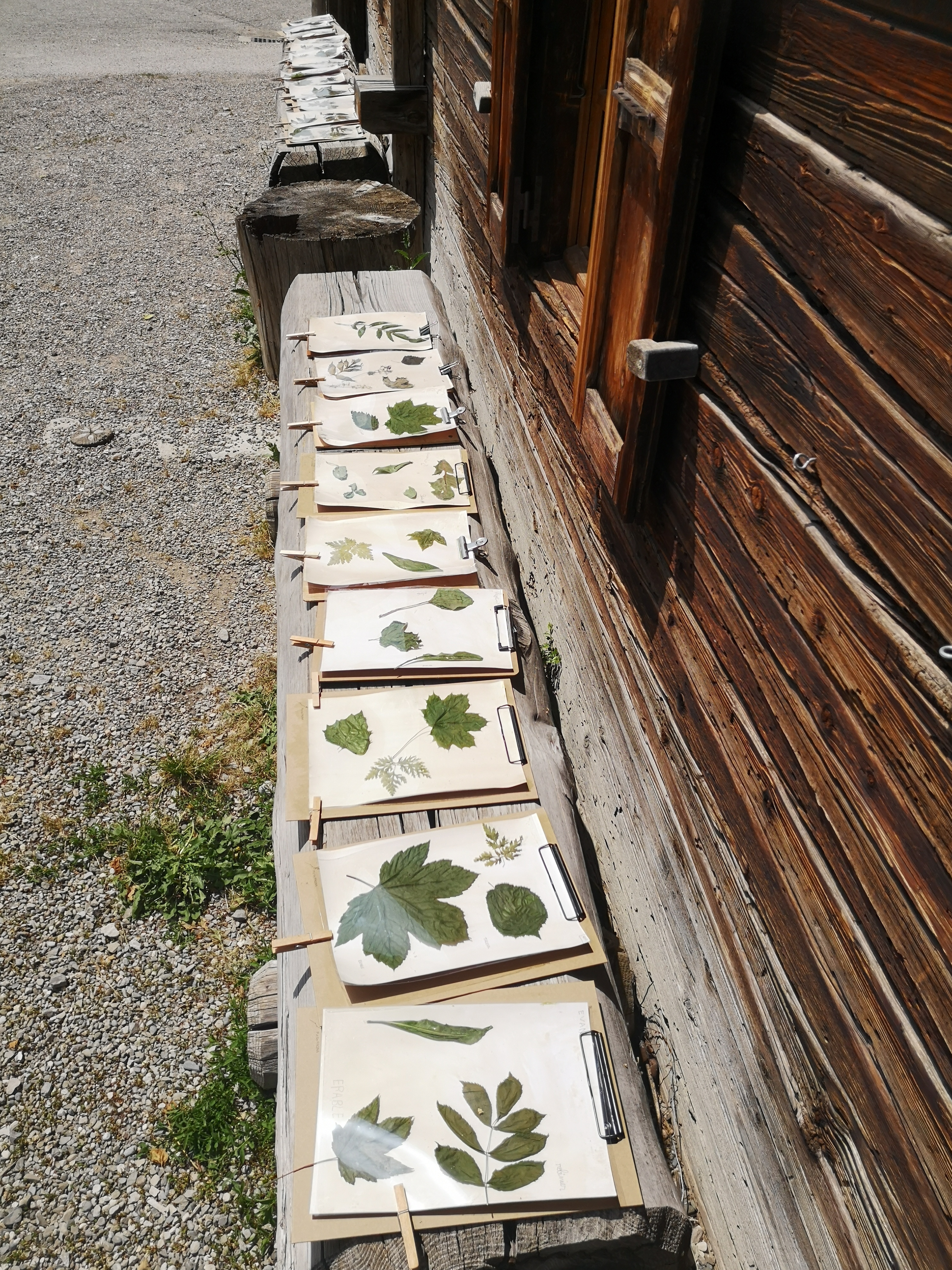 Atelier photographie végétale