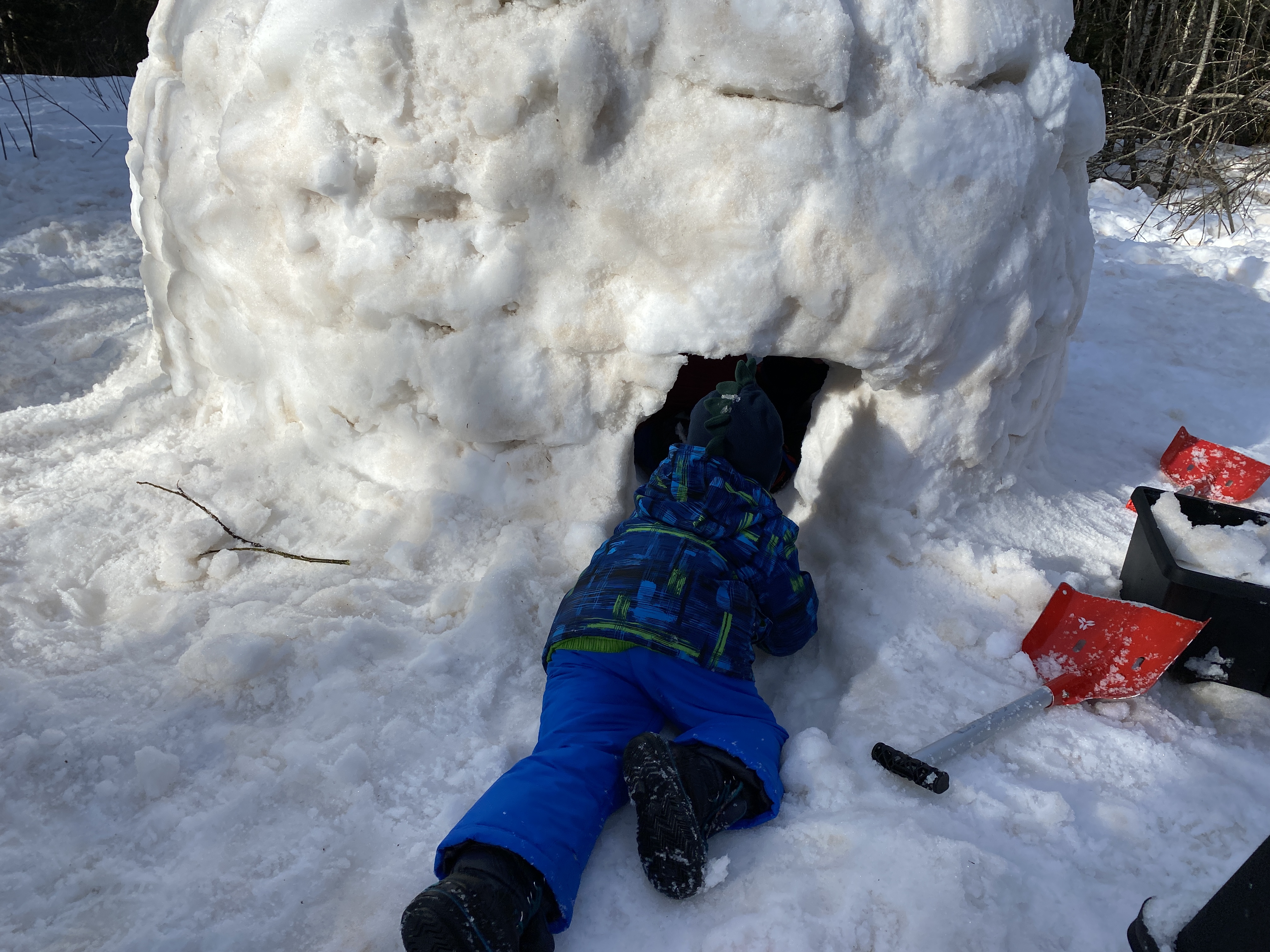 Igloo