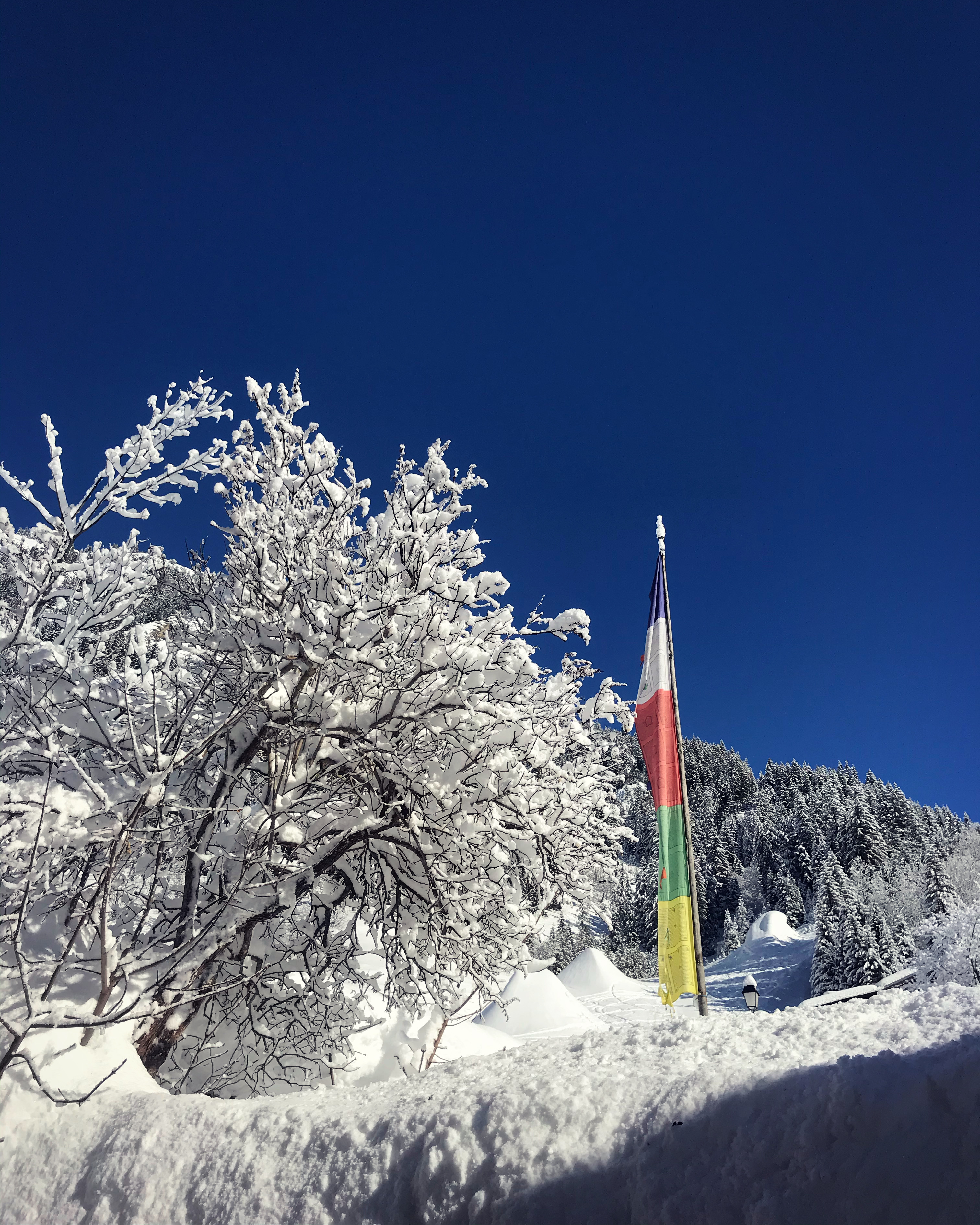 Yoga du Froid / Yoga Toumo
