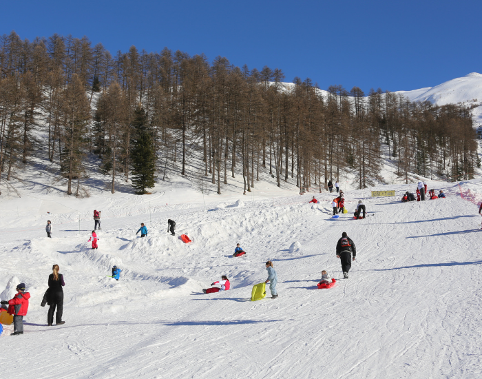 Piste de luge