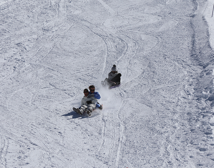 Boarderluge