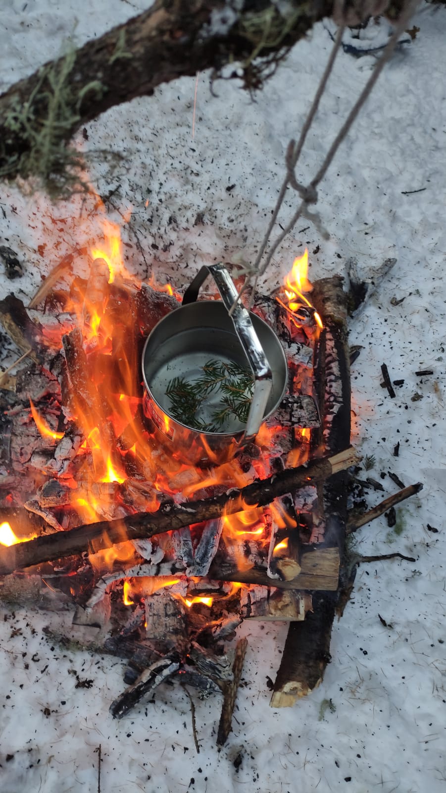 Bushcraft