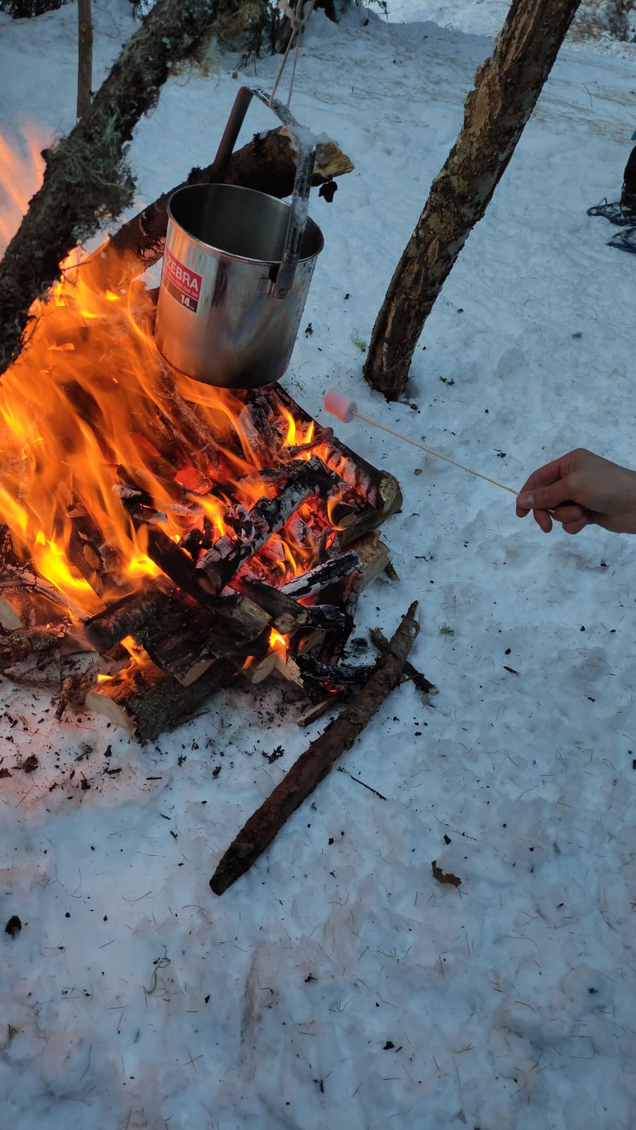 Bushcraft