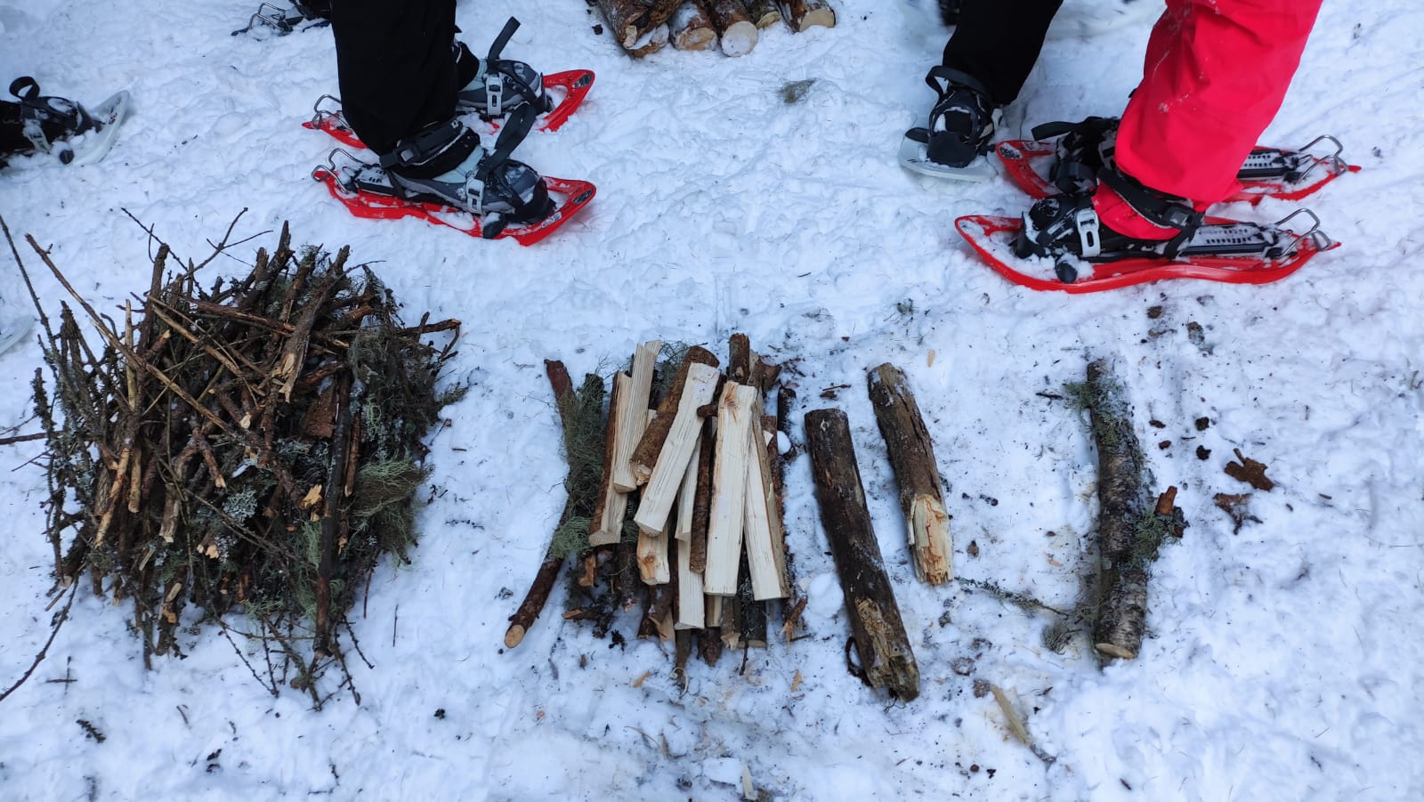 Bushcraft