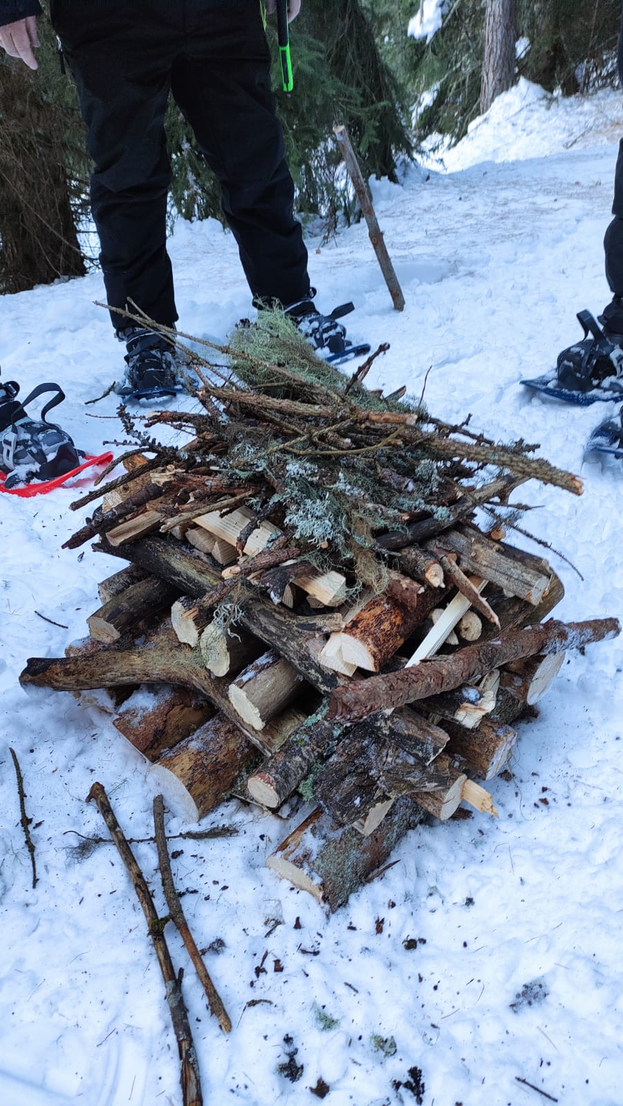 Bushcraft