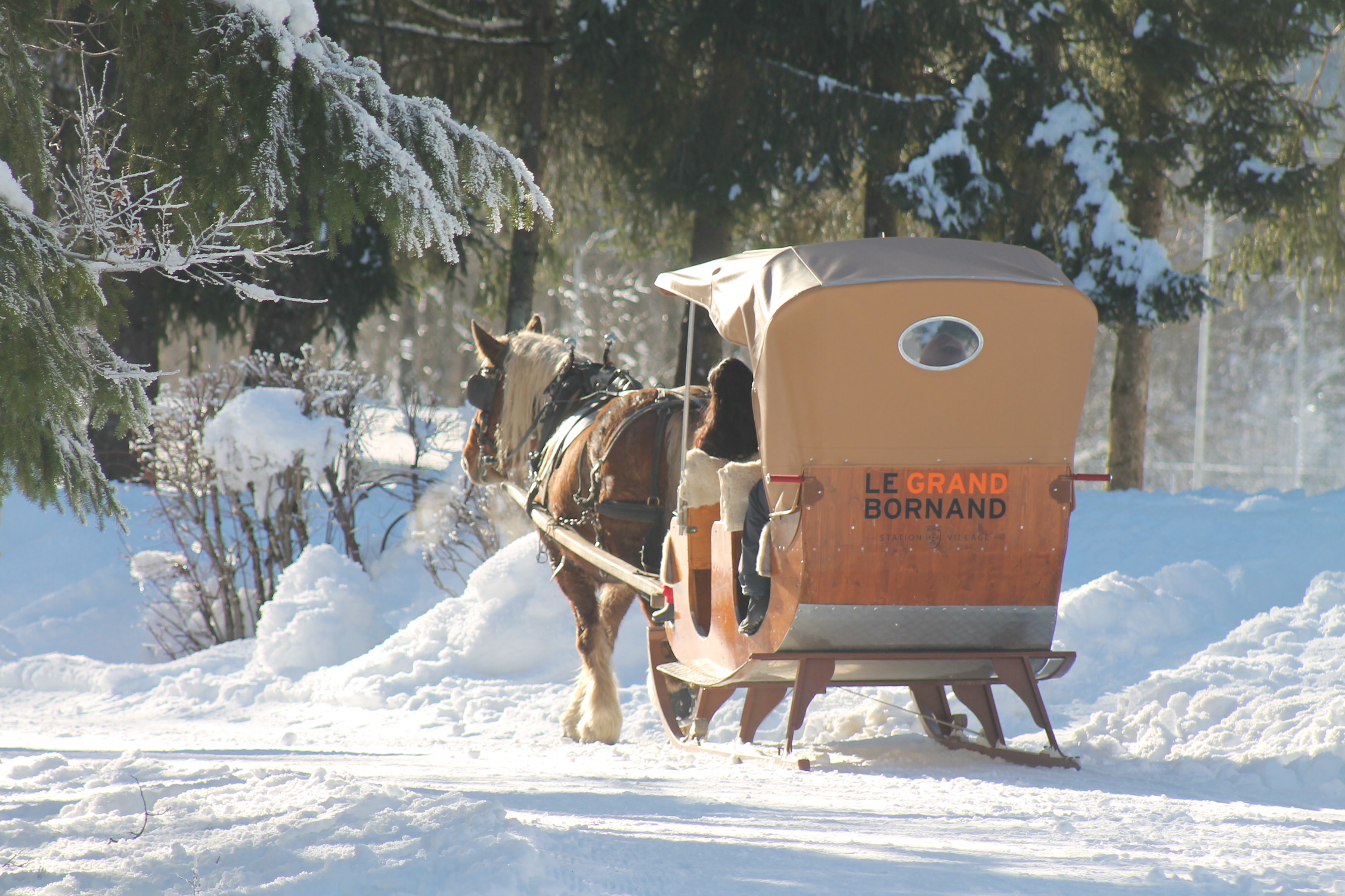 Traîneau à cheval au Grand-Bornand - Les attelages de la flèche blonde