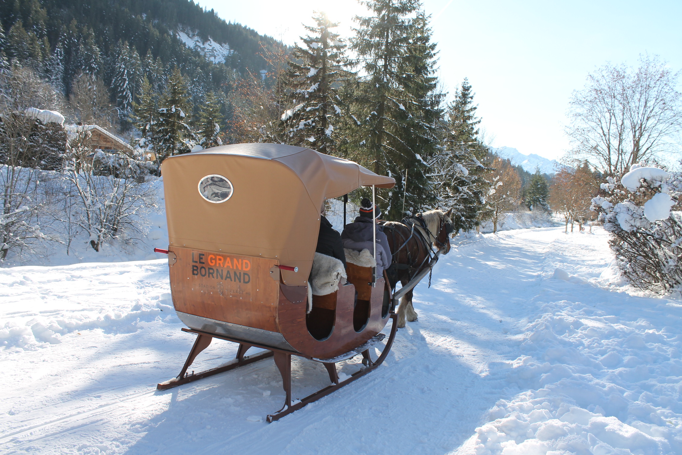 Traîneau à cheval au Grand-Bornand - Les attelages de la flèche blonde