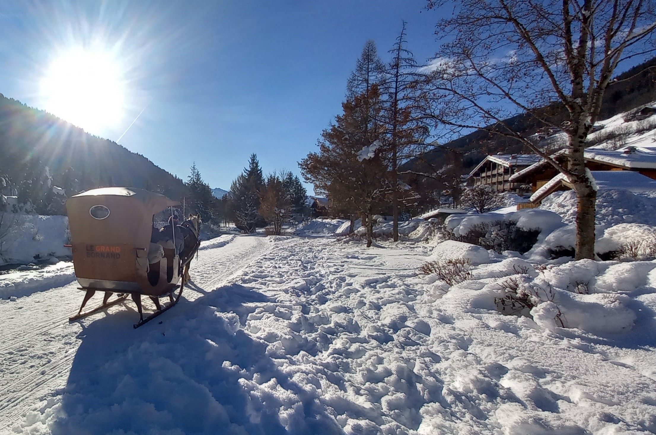 Traîneau à cheval au Grand-Bornand - Les attelages de la flèche blonde