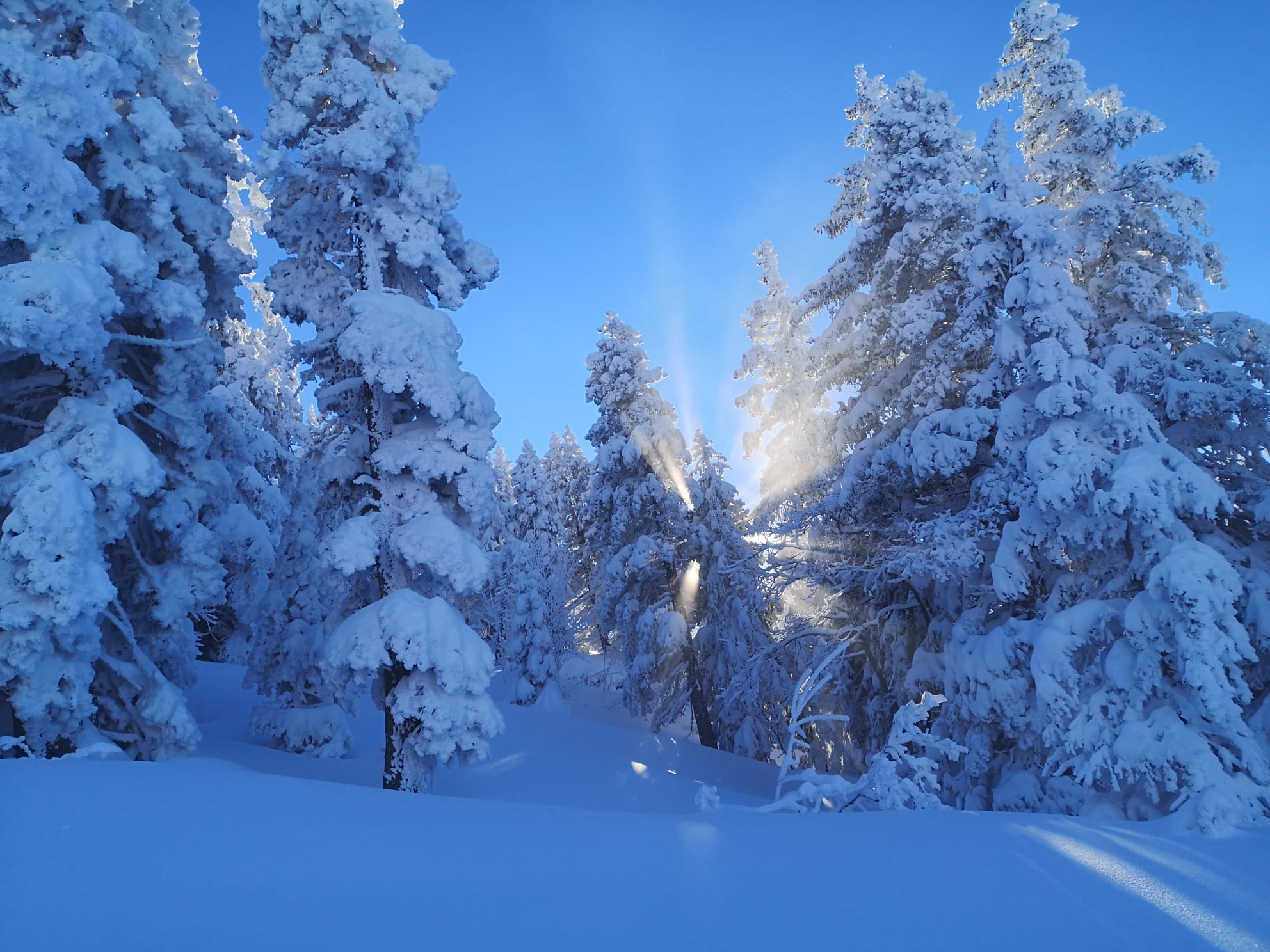 Aventure Grand Nord et repas trappeur