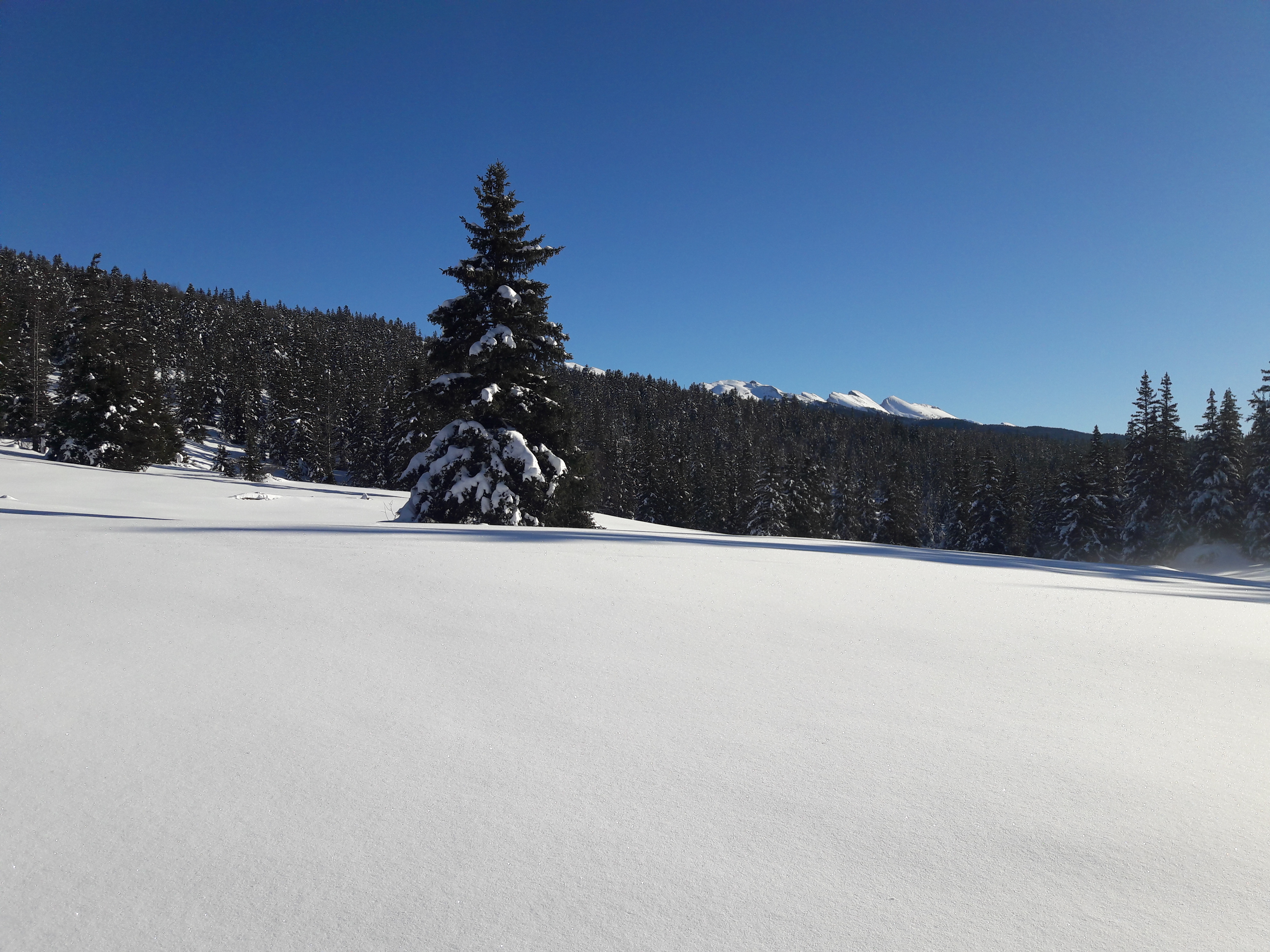 Aventure Grand Nord et repas trappeur