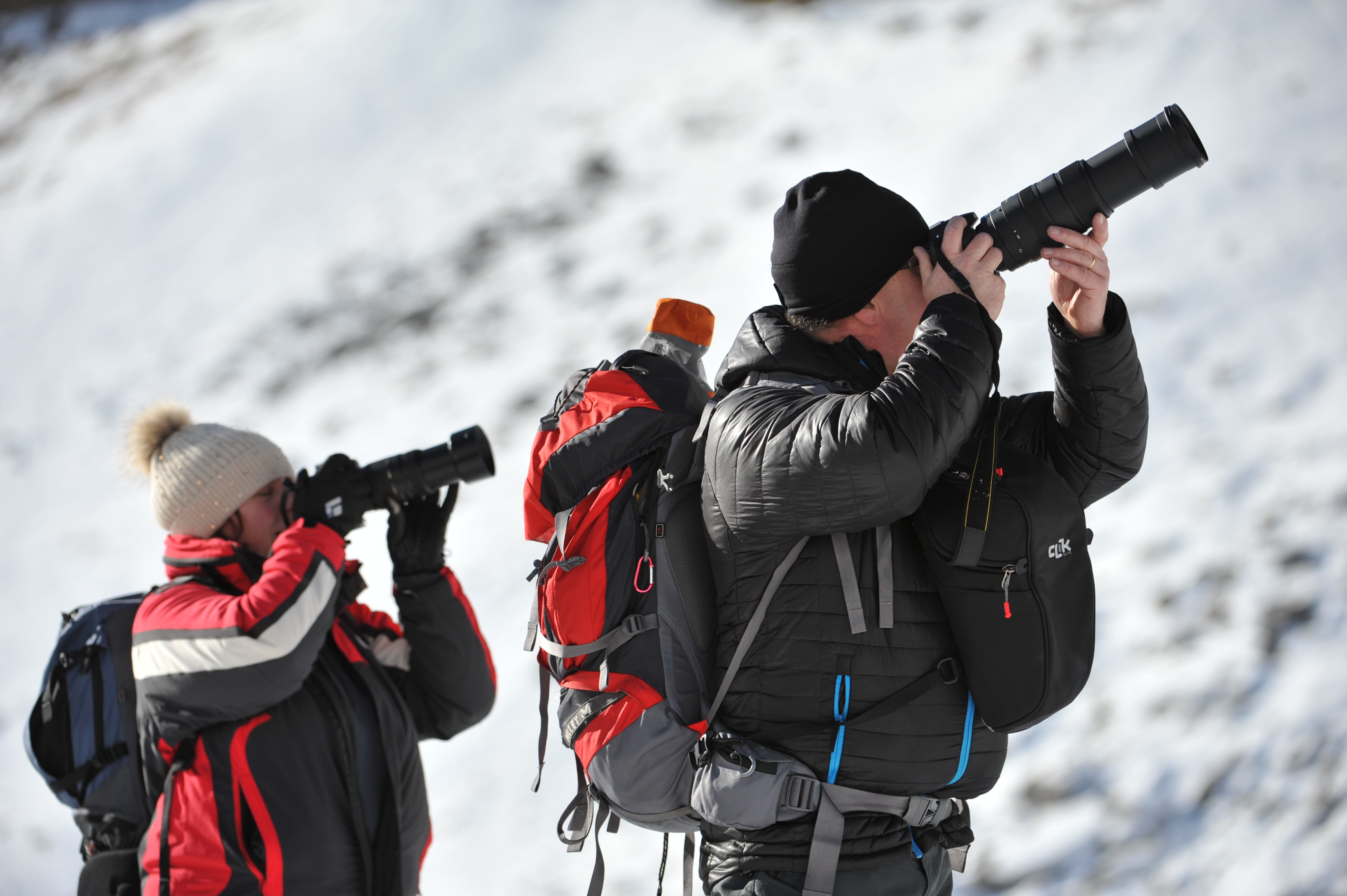Safari photo - Pralognan-la-Vanoise