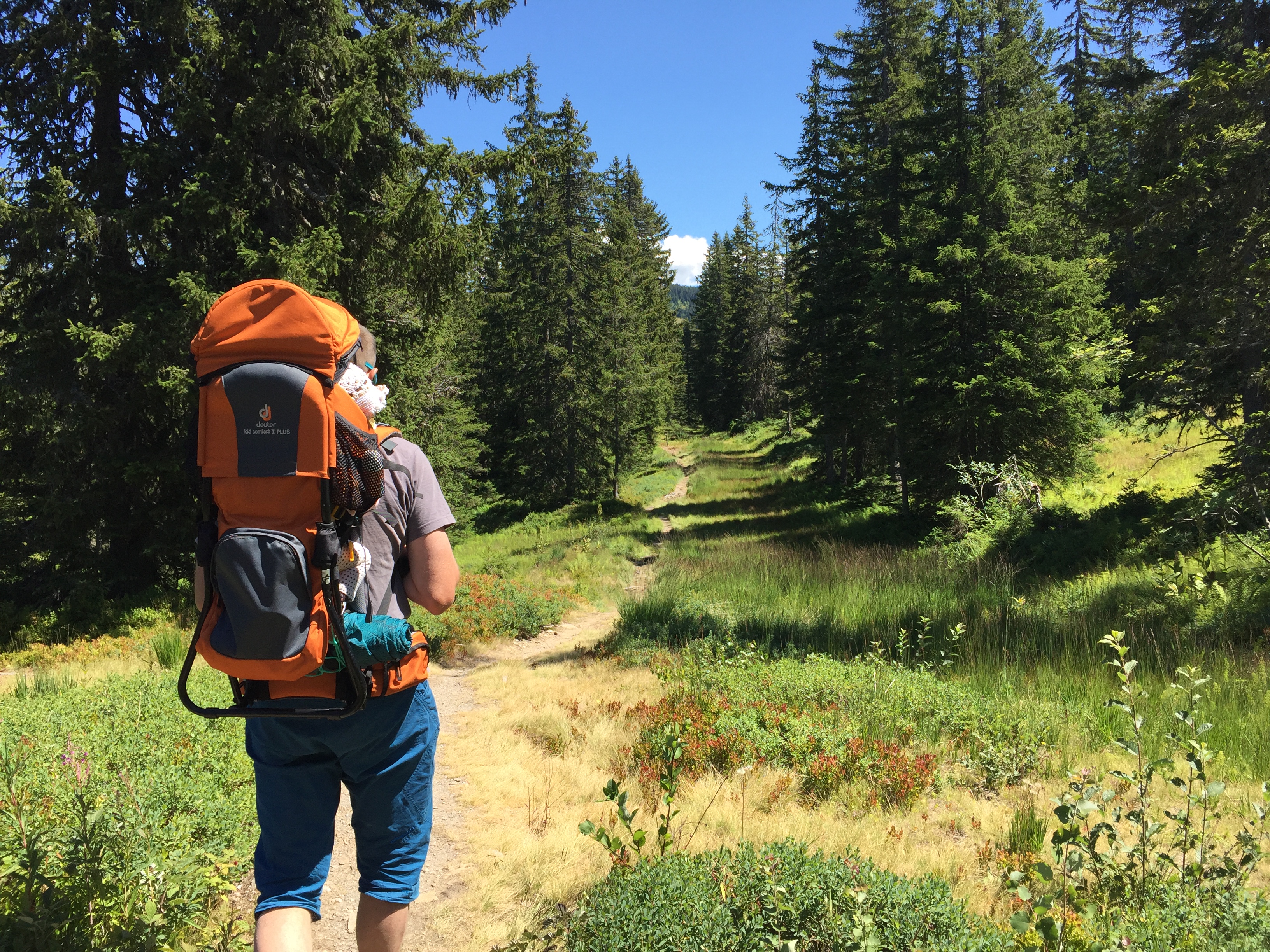 Sentier des Arpelières