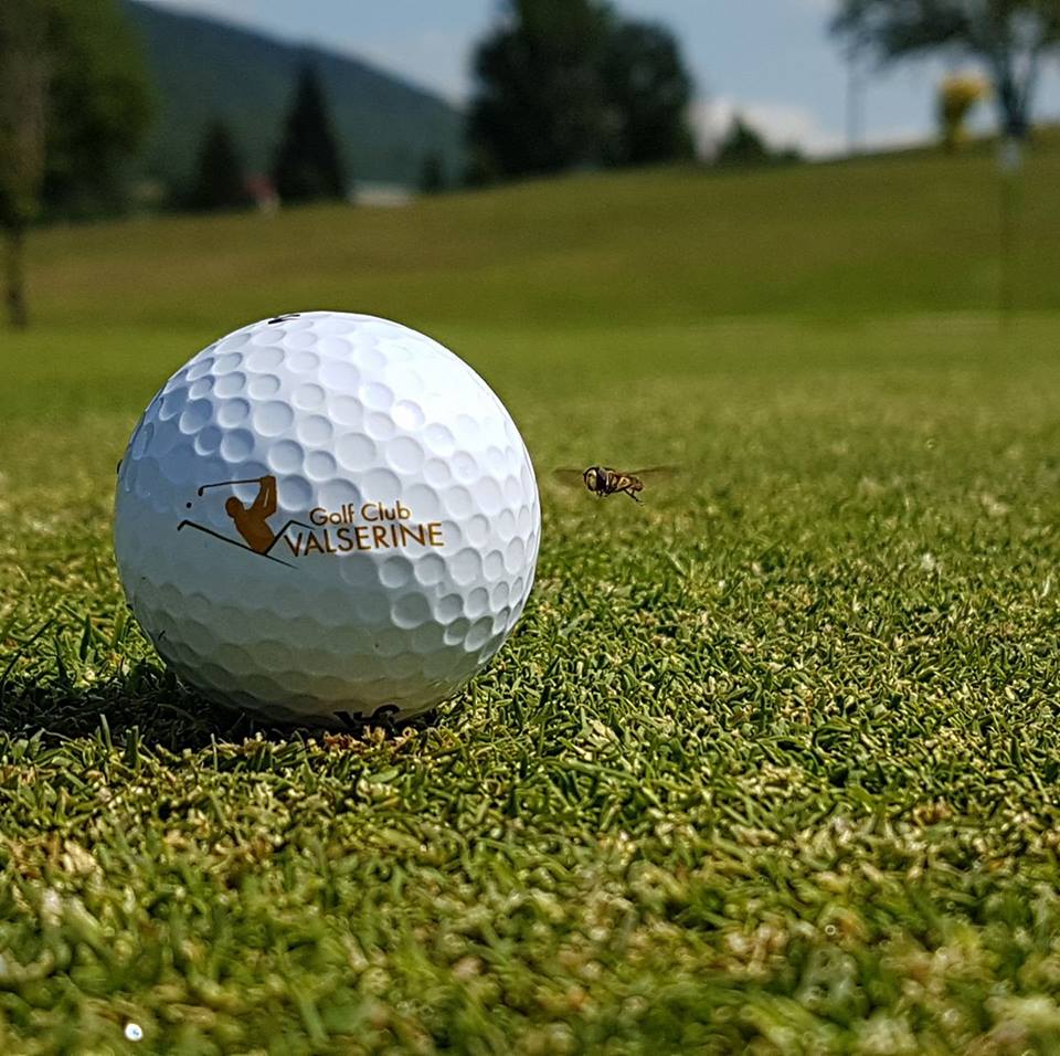 golf de la valserine