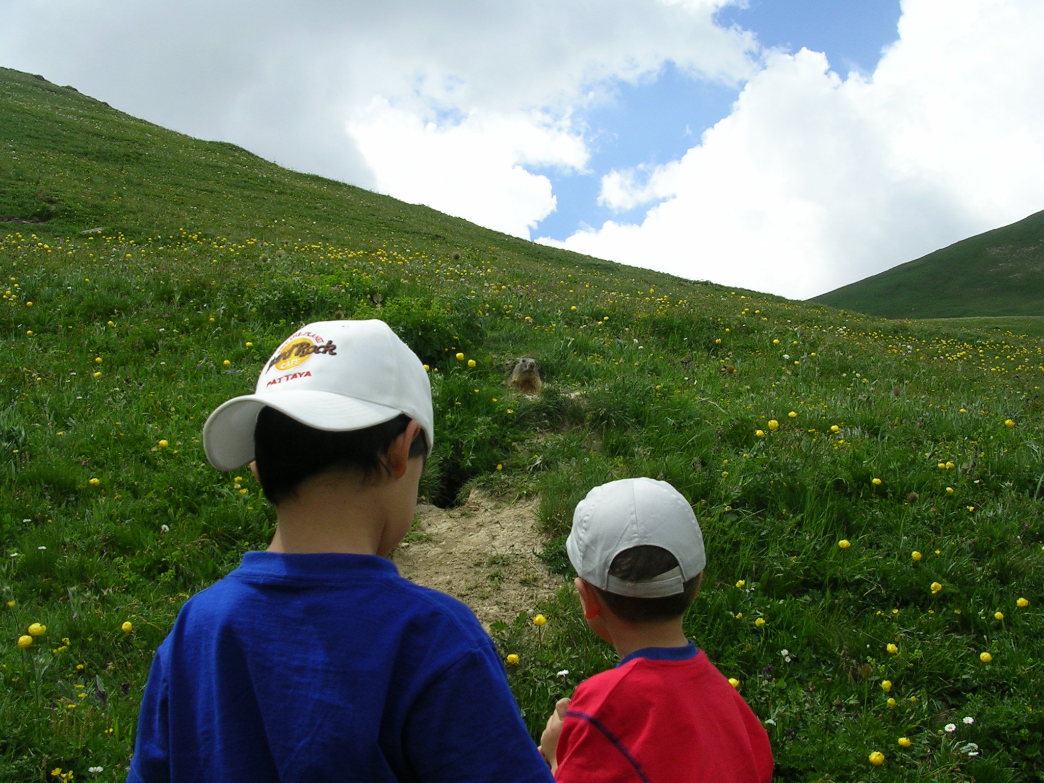 Rando dans les alpages
