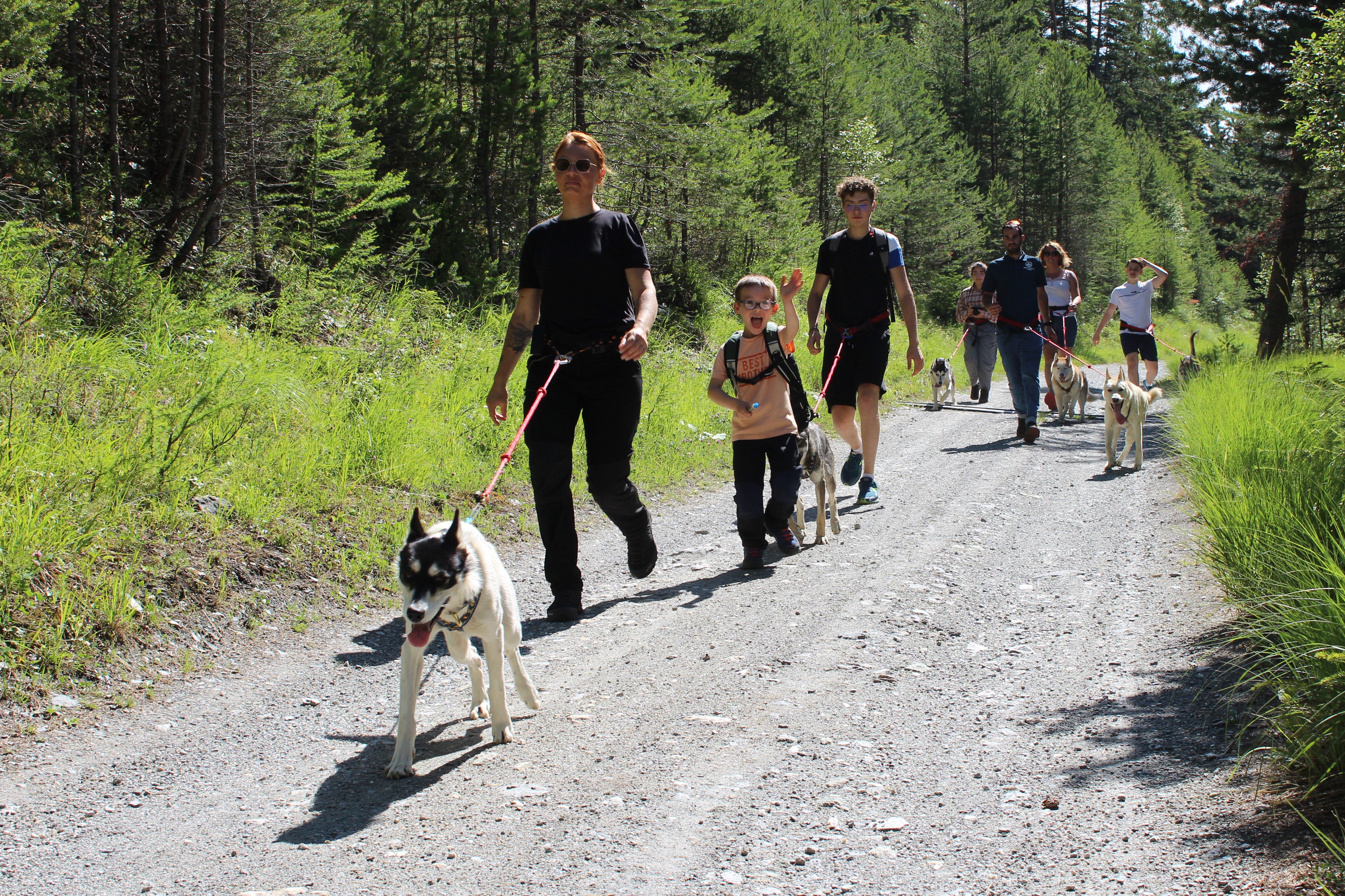 Cani randonnée avec Trott Husky