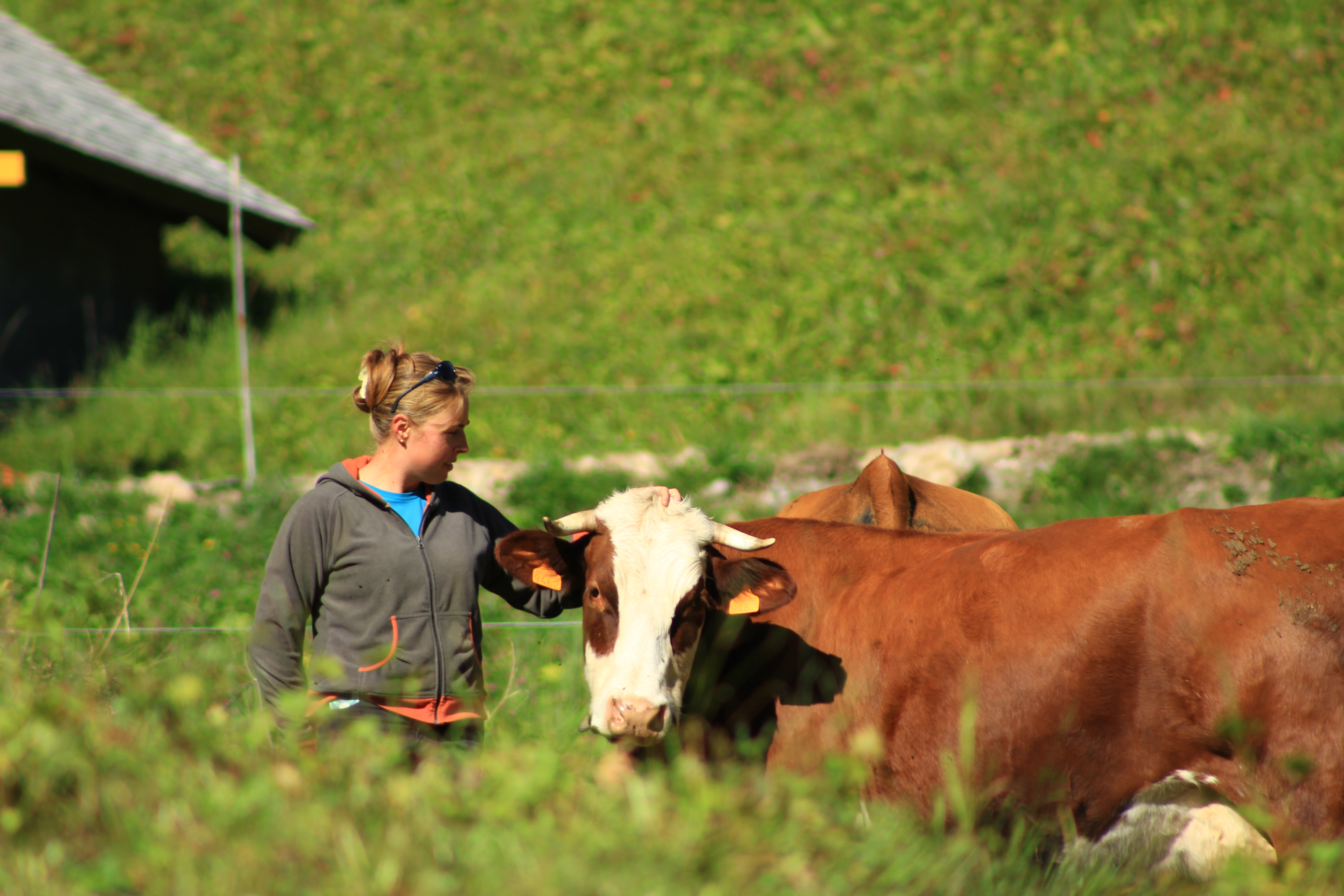 Nos producteurs de lait