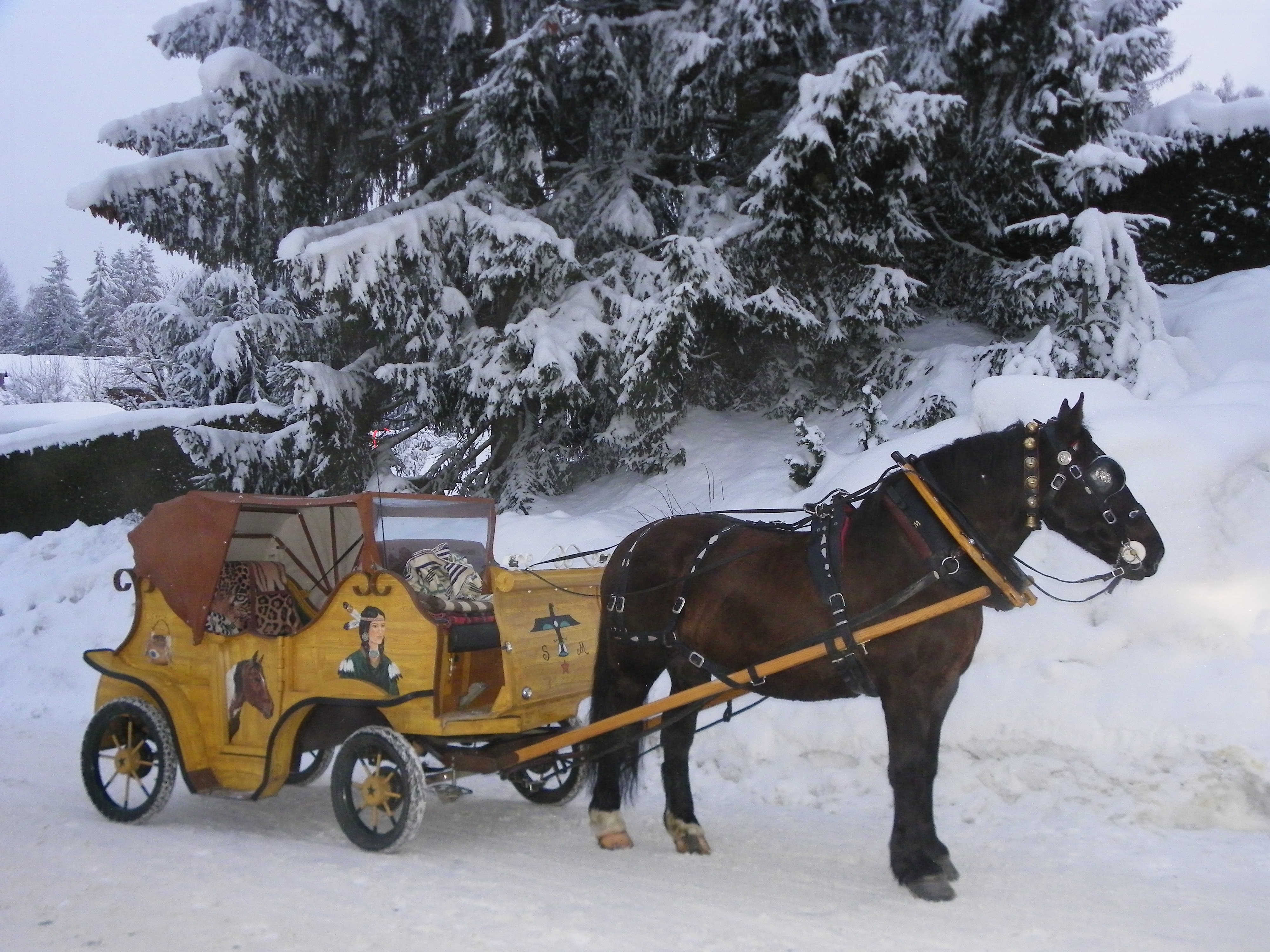 Calèche en hiver