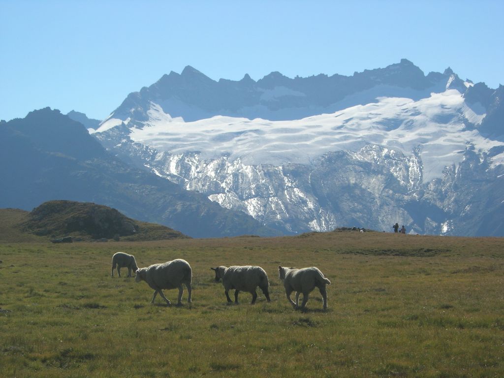 Sentier Balcon