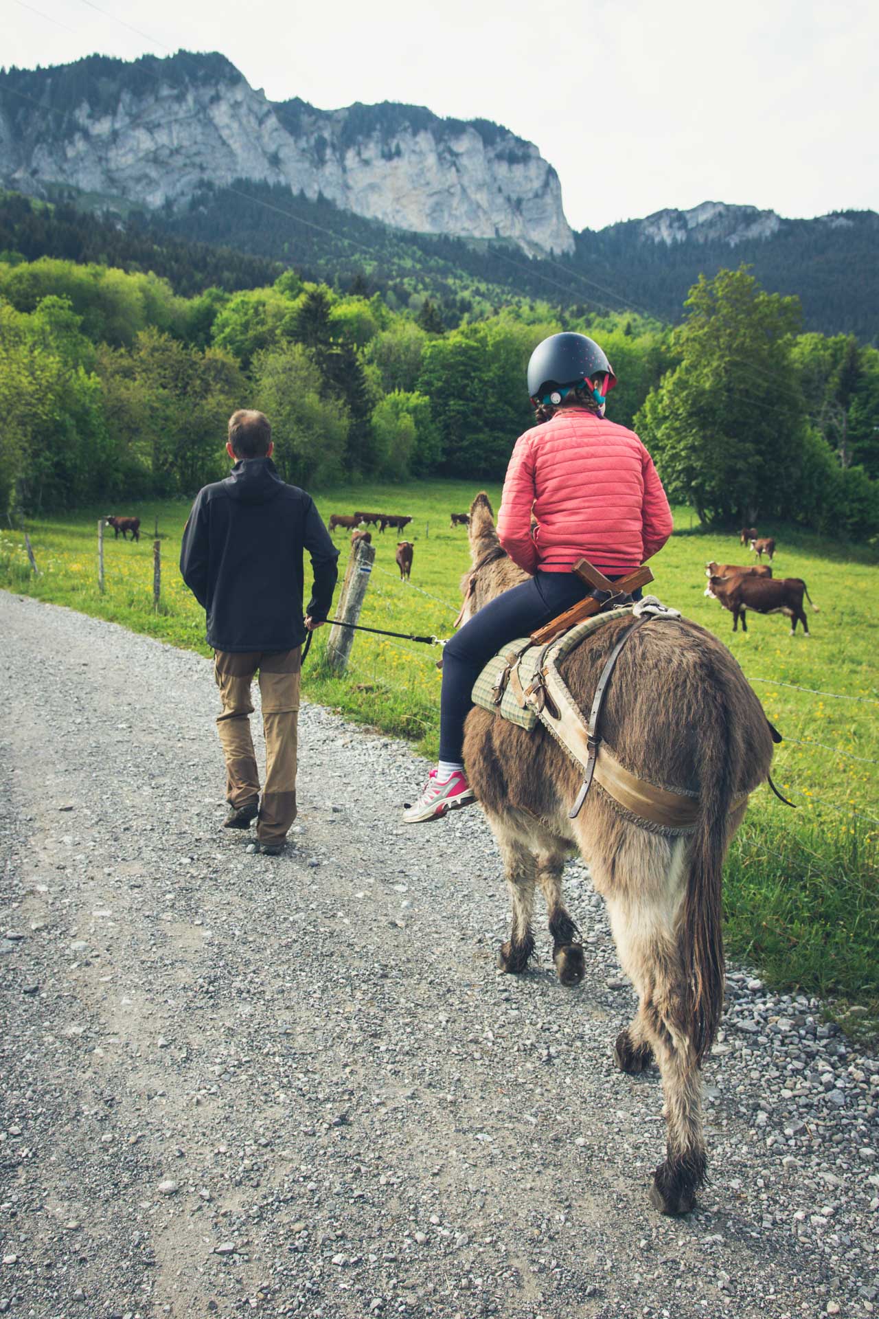 La Ferme des Genti'Ânes