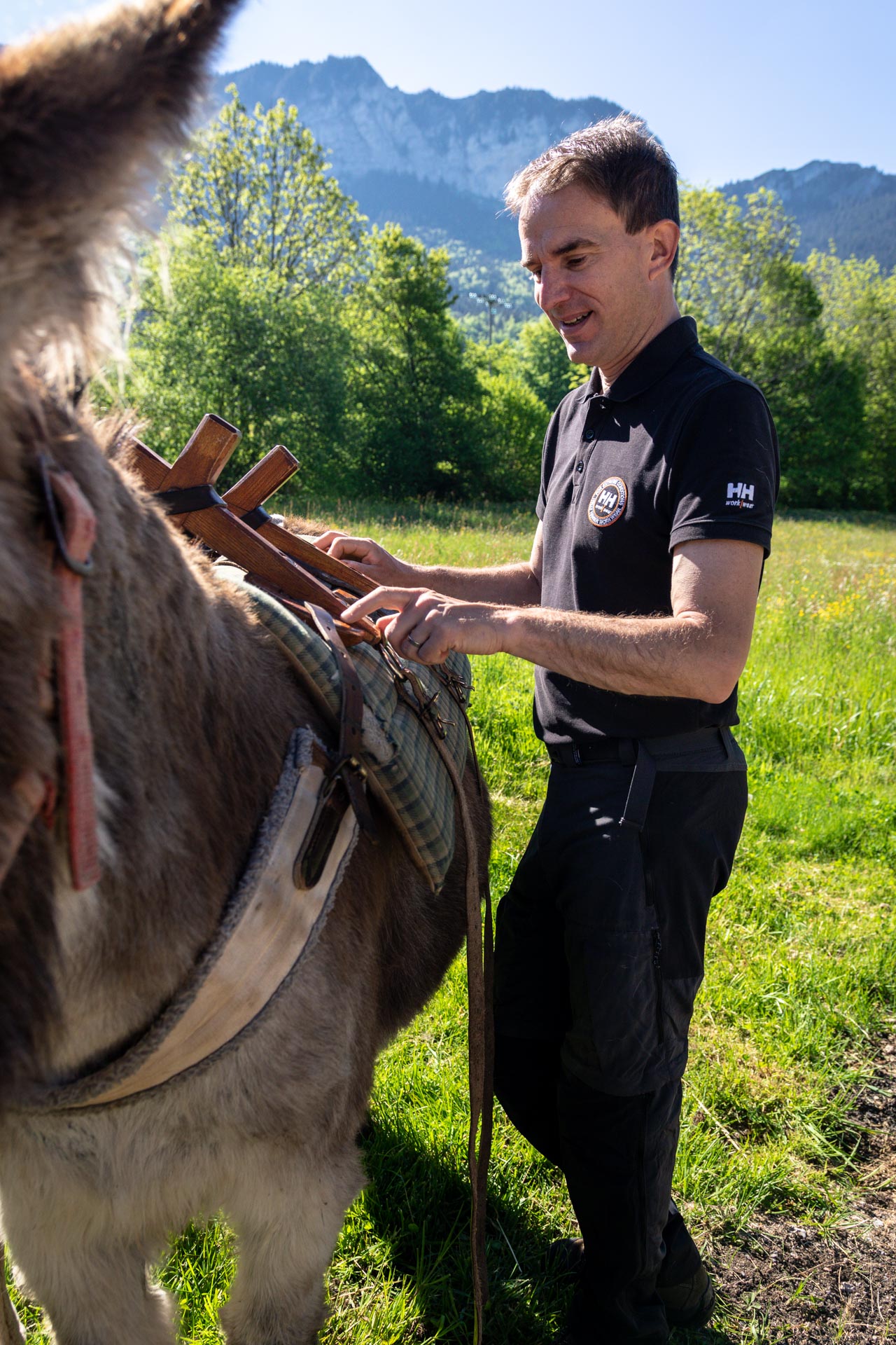 La Ferme des Genti'Ânes