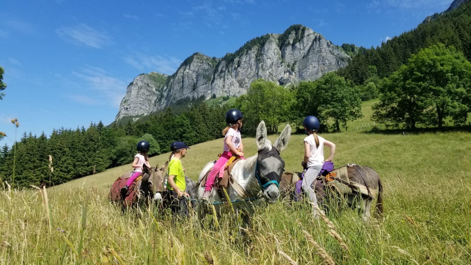 La Ferme des Genti'Ânes
