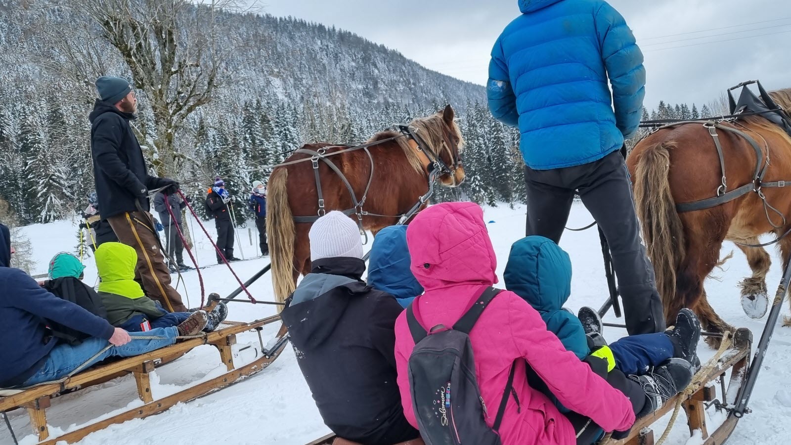 luge attelée