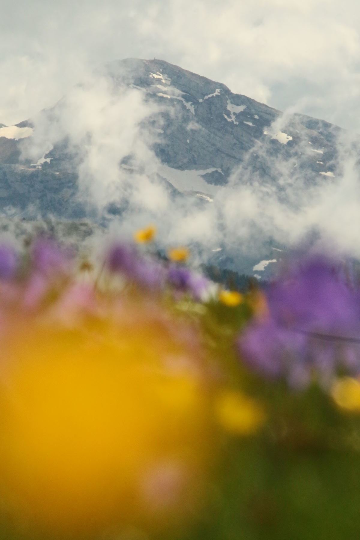 Stage photo en montagne