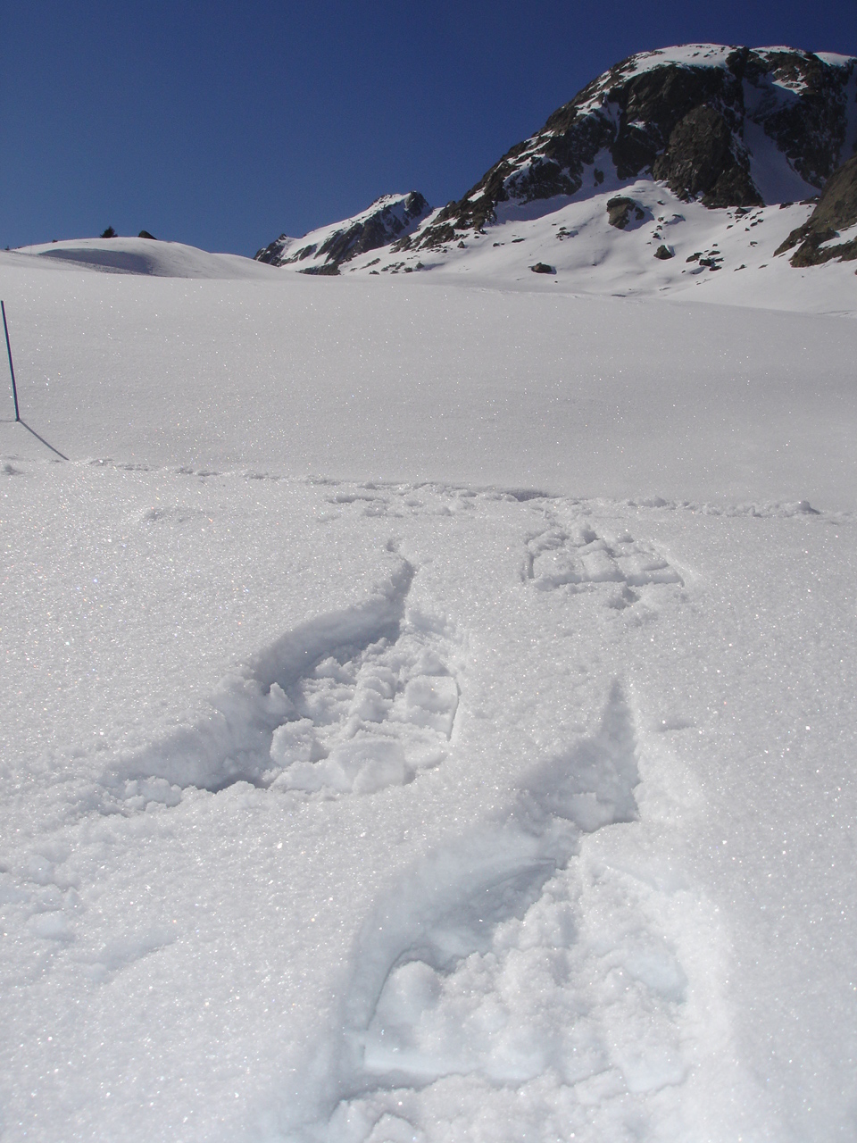 ESF (Ecole de ski français)