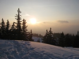 vercors2010 (115) [320x200]