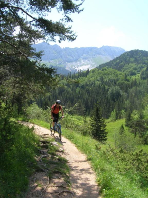 VTT Découverte