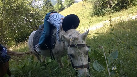 Ecuries de Corrençon