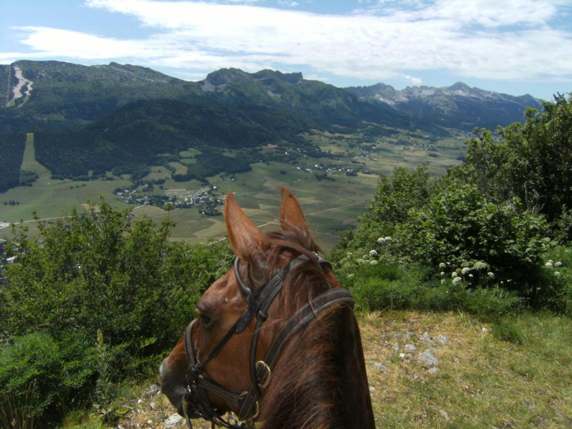 Le Haras du Vercors