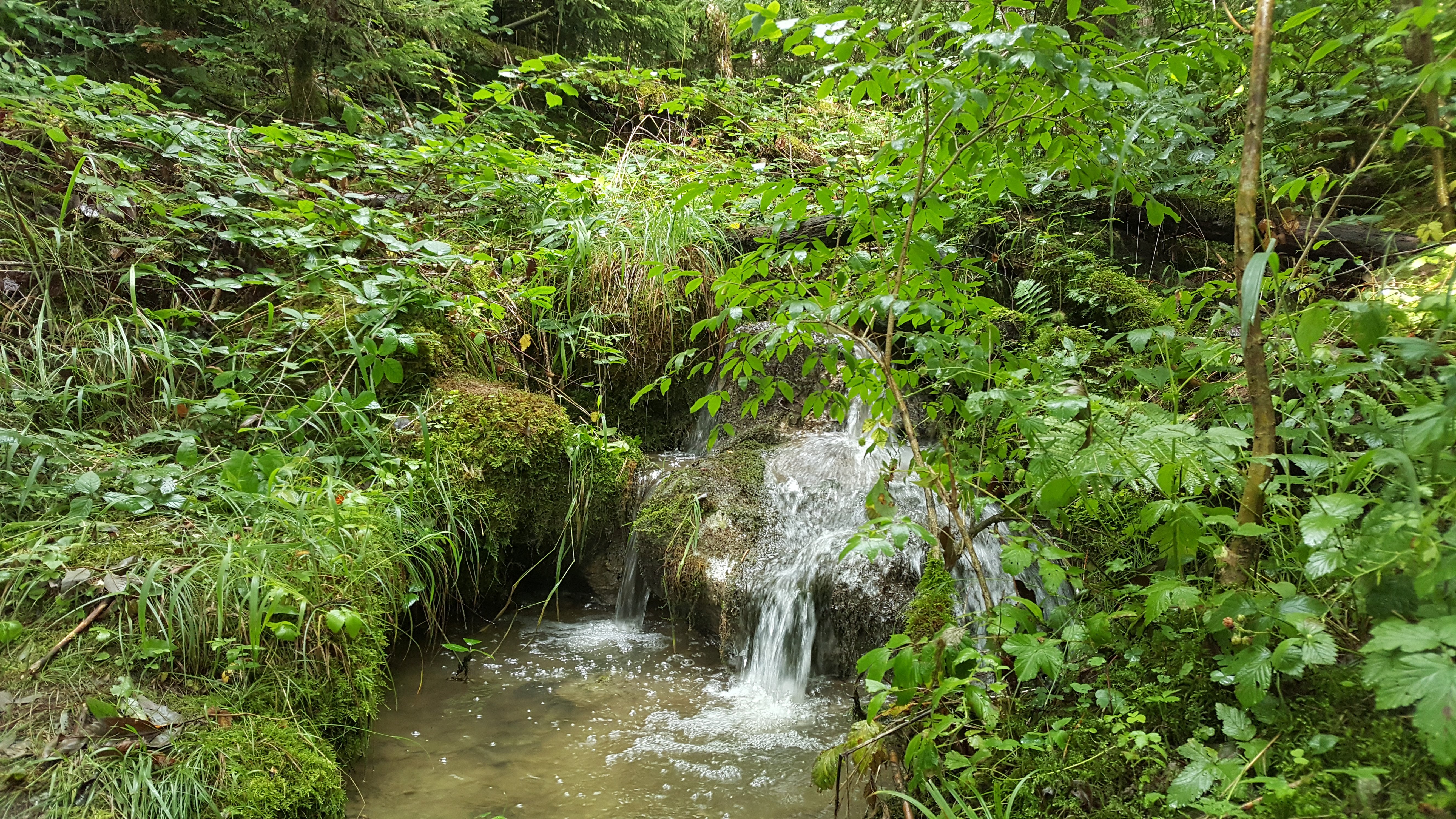 Rivière
