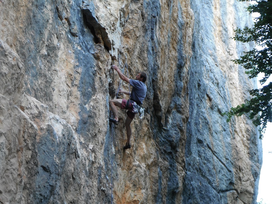 La Goulandière