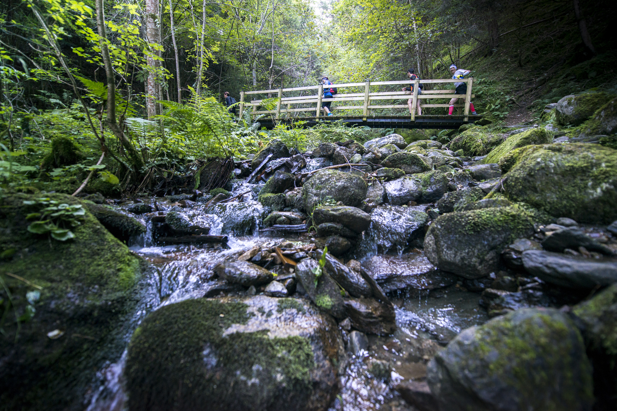 Trail