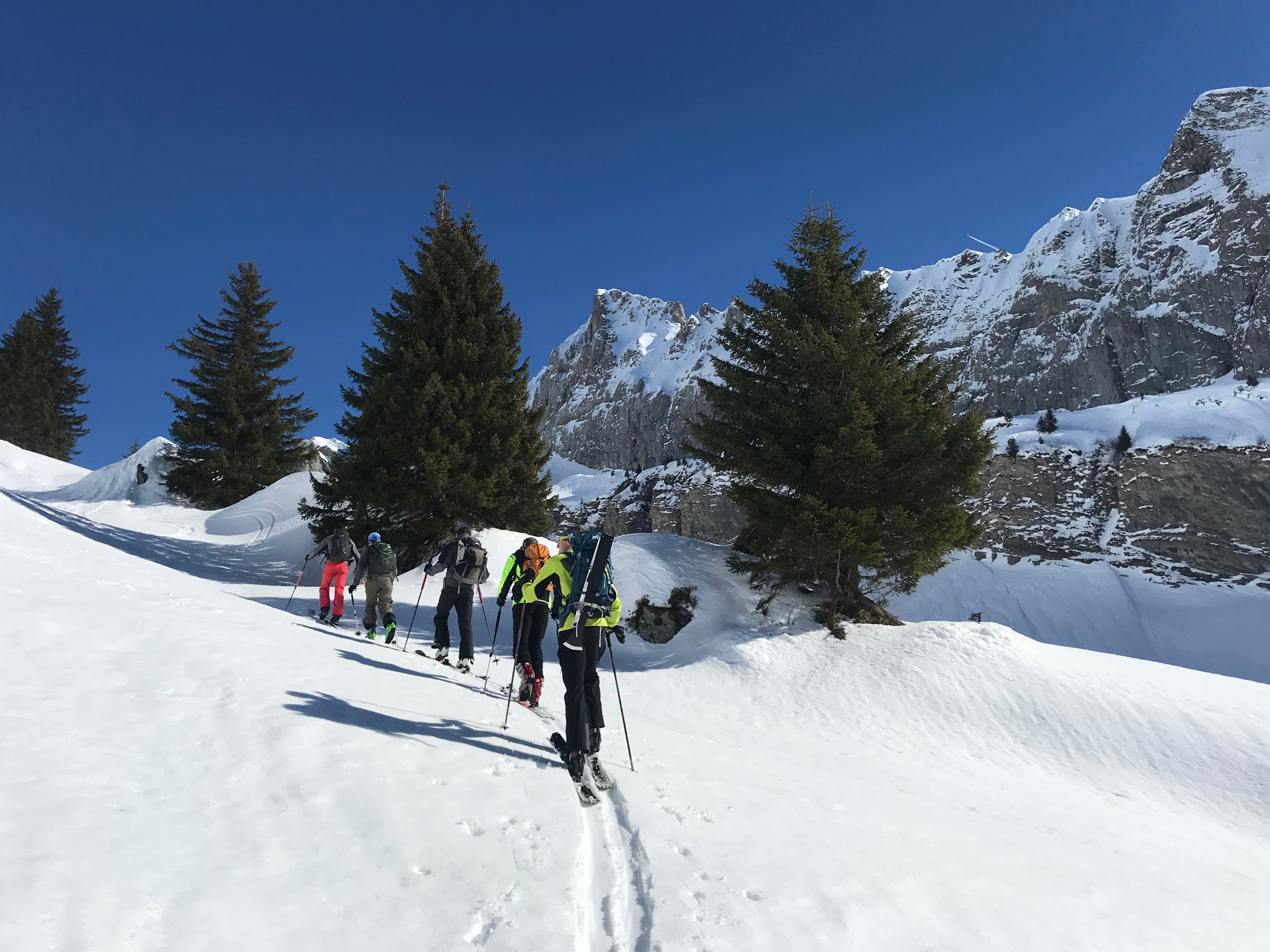 Ski de randonnée
