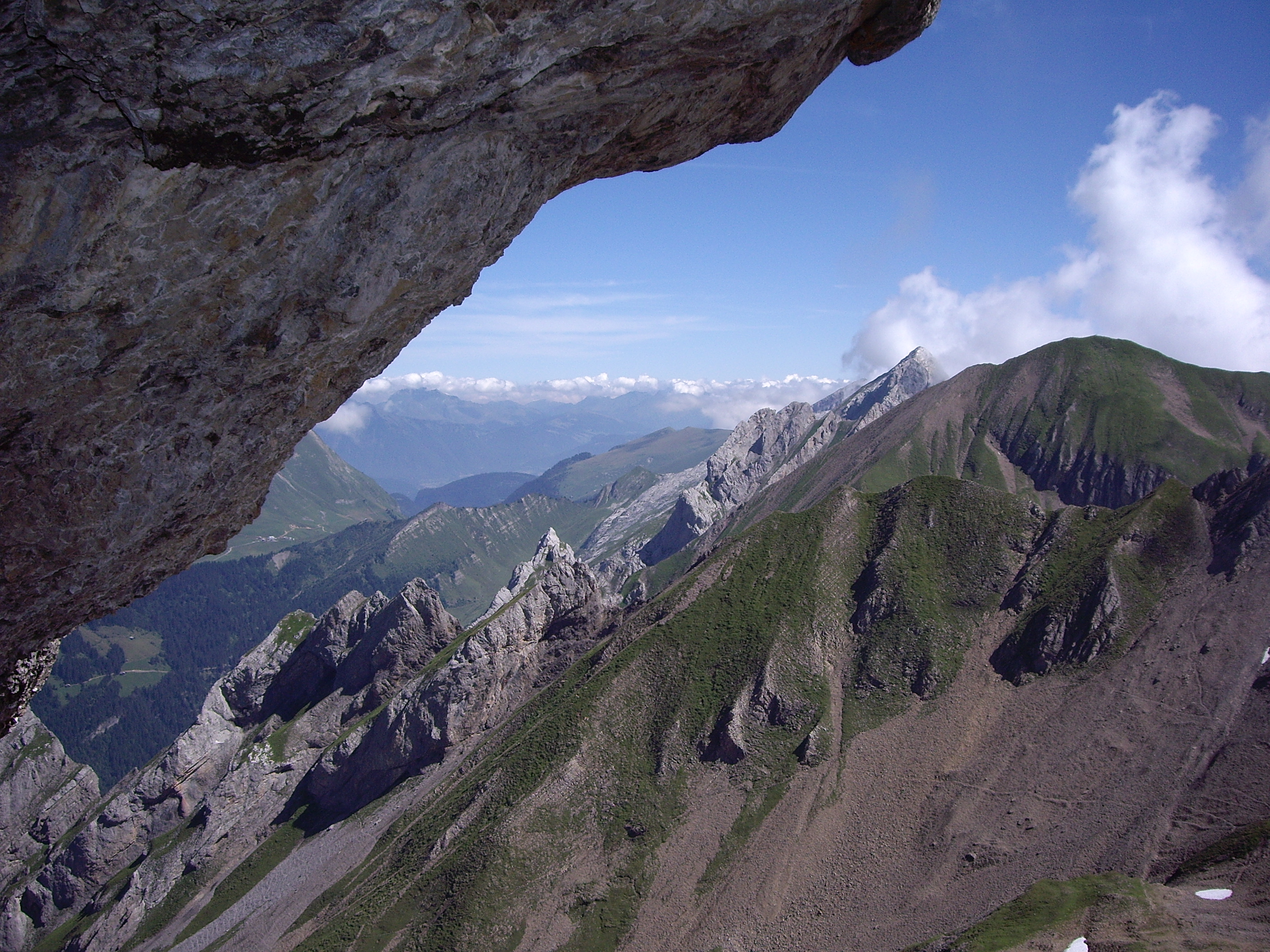 Tour de la mouche