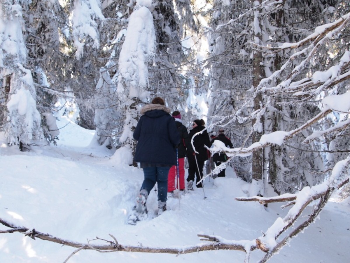 Sortie raquettes Bureau des Guides et Accompagnateurs de Chamrousse