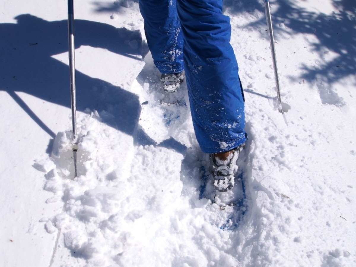 Sortie raquettes Bureau des Guides et Accompagnateurs de Chamrousse